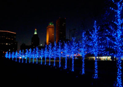 Ultimate Holiday Lighting Servicing all of Metro Detroit